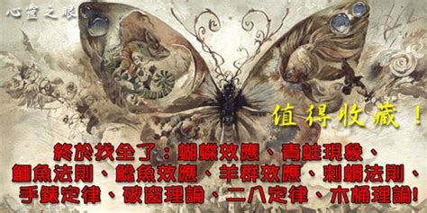 錦鯉法則意思|10大心理學理論｜蝴蝶效應、青蛙現象、鱷魚法則、鯰魚效應、羊 